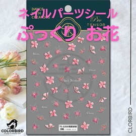 COLORBIRD Nail Seal, Plump Flower, Nail Parts, Flower, Floral Pattern, 3D, White, Pink, Sheer