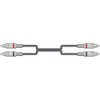 chord 2R-2R050 0.5 m Twin RCA Lead