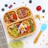 Vinsani Bamboo Bowl, Square Plate and Spoon Set for Baby/Toddler,