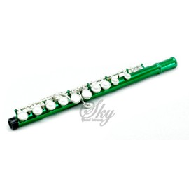 Sky C Flute with Lightweight Case, Cleaning Rod, Cloth, Joint Grease and Screw Driver - Green/Silver Closed Hole