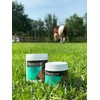 Stressless Horse Supplement 30-Day Supply
