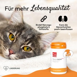 PHA Kidney Activ Plus for Dogs and Cats, Supports Kidney Function, Kidney Health of Dogs and Cats, Food Supplement Powder 60 g