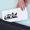 'Sphynx Cat Sleeping' Pill Box with Tablet Splitter (PI00033806)