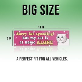 Sorry for Speeding But My Cat is at Home Alone Pink Sticker, Funny Bumper Sticker for Car Truck, Waterproof UV-Resistant Sticker Size 3x11 inches