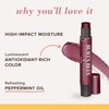 Burt's Bees Shimmer Lip Tint Set, Tinted Lip Balm Stick,