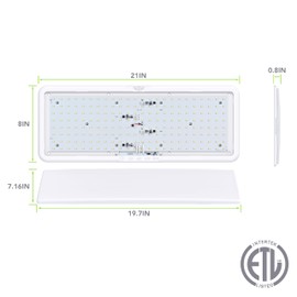Leisure LED RV LED Ceiling Light 21" x 8" Fixture 2000 Lumen with Touch Dimmer Switch Interior Lighting for Car/RV/Trailer/Camper/Boat DC 12V Natural White 4000-4500K (4 Pack)