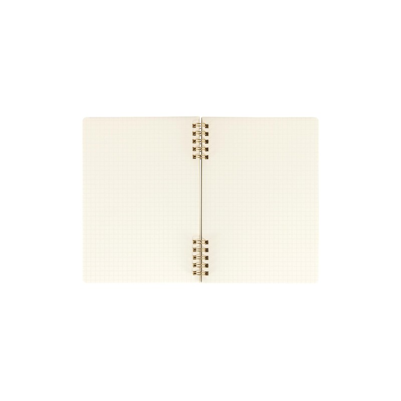 Nakabayashi Idolaemon Logical W Ring Notebook, B6/Graph 0.2 inch (5