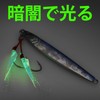 TRUSCEND Metal Jig Shore Jigging Lure, Sea Bass, All Purpose
