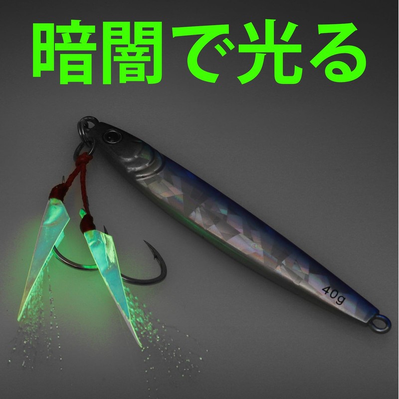TRUSCEND Metal Jig Shore Jigging Lure, Sea Bass, All Purpose