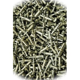 New Pack of (200) Head 1/4 x 3/4 Hammer Drive Pin Anchors Nail-in Hammer-in Rivet Multi-Purpose Comprehensive Hardware Fastener Assortment Kit MoPNEM02952