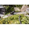 REHAU Wasserfilter mit Sieb, verhindert Verunreinigungen, verlängert Lebensdauer von Perlschlauch/Tropfschlauch/Regner