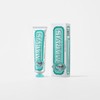 Galleria Marvis Korea Marvis Anise Mint Toothpaste 85ml / 갤러리아