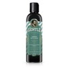Mr. Gentle Shampoo Anti Caspa 400Ml