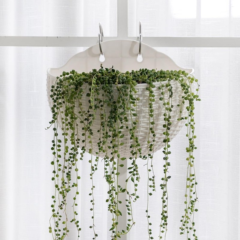 Snblzhef Green Wall Planter Wall-Mounted Planter Semi-Circular Fence Planter with