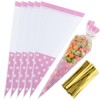 GORGECRAFT 100Pcs Cone Candy Bag Clear Triangle Dot Candy Pouches