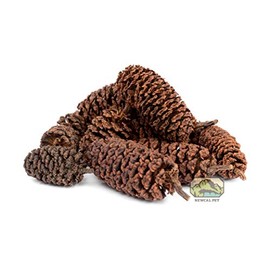 NewCal Alder Cones - 1oz