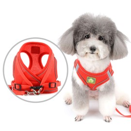 Zunea Small Dog Harness and Lead Set No Pull Puppy Vest Harnesses Adjustable Reflective Soft Mesh Step-in Pet Cat Harness Escape Proof for Walking, Bright Colors for Dogs Girl Boy Red S