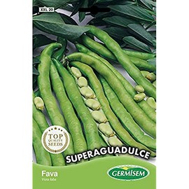 Germisem Aguadulce Puff Beans, Multi-Colour, XXL 20