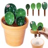 5 Pieces Measuring Spoons Set/Ceramics Spoons and Measuring Base Cup/for