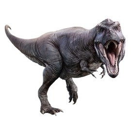 Kiddale Tyrannosaurus Rex Giant Wall Stickers,Peel and Stick Removable Dinosaur Wall Decals for Kids Boys Girls Adult Bedroom Living Room