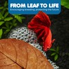 SunGrow Catappa Indian Almond Leaves, 7-8 Inches,10 Catappa Leaves for