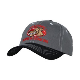 WITHMOONS Cotton Adjustable Embroidery Baseball Cap Dad Hats TR11537 (Grey)