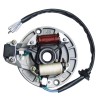 superstarterstoreee 125cc Stator ATV Dirt Bike for Sunl for Kazuma