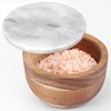 jalz jalz Large Wood Salt Box Salt cellar with Spoon