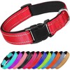 Collar Reflejante para Perro y Gato, Diseño Cómodo, Resistente. Ideal