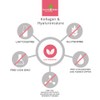 Hyaluronic Acid with Collagen, High Dosage | Comparison Winner 2020*