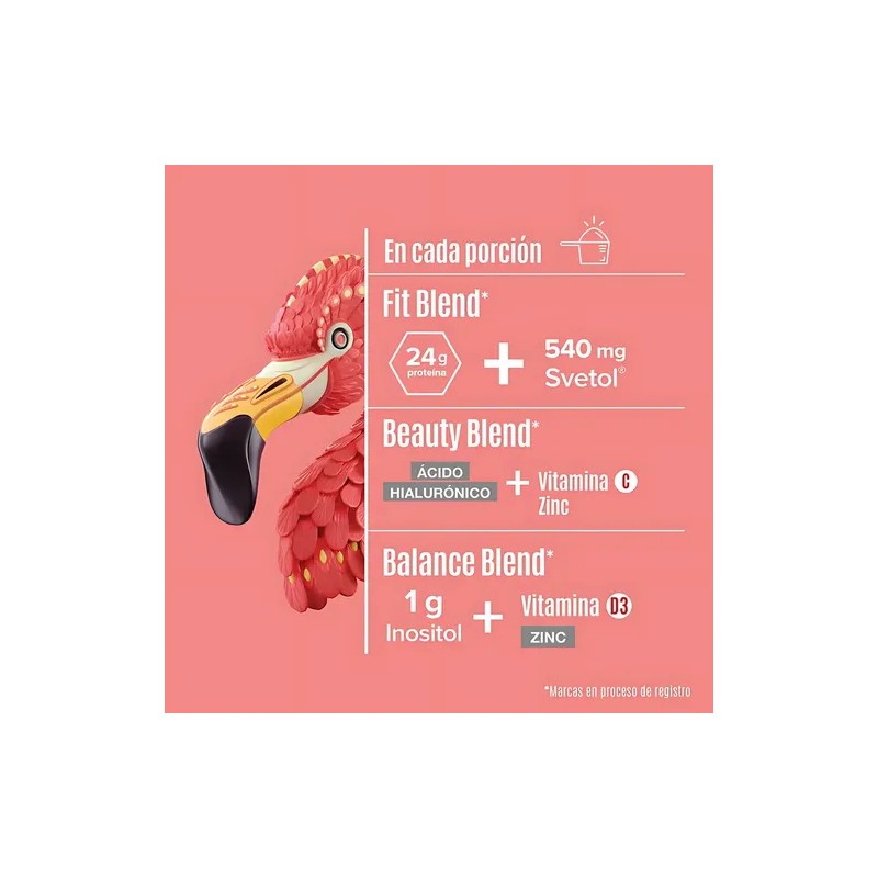 Birdman Kit Proteína Fitmingo 510g + Creatina 450g + Shaker