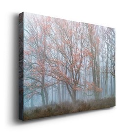 Wexford Home Landscape Canvas Wall Art Abstract Floral Forest Modern Pictures Artwork Decoration for Living Room Kitchen Bathroom Office, Ready to Hang, misty contrasts, 24x36