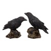 Raven Figurines (Set of 2)