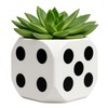 Black & White Dice Planter – 4.9 in Succulent Pot
