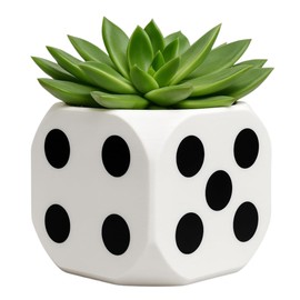 Black & White Dice Planter – 4.9 in Succulent Pot for Desk, Eclectic Home Decor, Modern Office Accent, Casino Party Decorations, Unique Gift for Poker Lovers & Made in USA