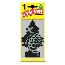LITTLE TREES Car Air Freshener | Hanging Paper Tree for Home or Car | Blackberry Clove | 24 Pack