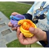 3D Printed Snake Egg with Snake Inside,3D Printed Animals Set,