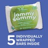 Plum Organics Kids Jammy Sammy Apple Cinnamon & Oatmeal, 1.02