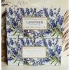 Saponificio Artigianale Fiorentino 2-Pack Saponificio ~ Lavender Scented Bar Soap