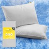 Cosi Home Cooling Pillow Cases (2 Pack) Q-Max 0.45, Double-Sided