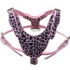 Haoyueer Leather Sharp Spiked Studded Dog Collars, Harnesses & Leashes