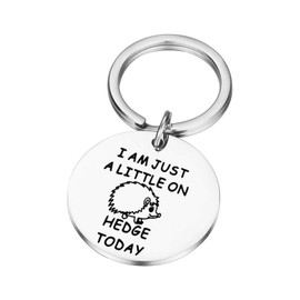 Lywjyb Birdgot Hedgehog Gift Hedgehog Lover Gift Animal Lover Gift Hedgehog Catchall Gift Hedgehog Gifts For Women I Am Just A Little on Hedge Today Keychain (little on hedgehog ky CA)
