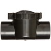 Waterway Plastics 600-7010 TruSeal Serviceable Swing Check Valve