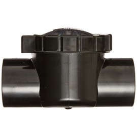 Waterway Plastics 600-7010 TruSeal Serviceable Swing Check Valve