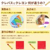 SAKURA CRAY - PAS Thick Rolled Pastel Crayons