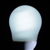 Eco Ball 40W Base E26 Daylight EFA10ED/8N EFA10ED/8N