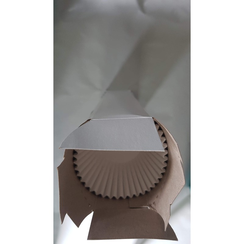 Baking Cups for Cupcakes and Muffins, White Standard, 500 Count