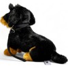 Carl Dick Dachshund, rough-haired dog with lead, sitting, black, dog,