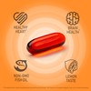 NANOWELL Red Omega-3 with Astaxanthin, DHA & EPA - Immune