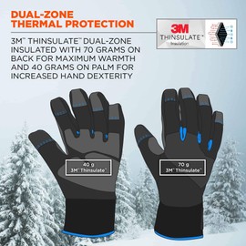 Winter Work Glove, Thermal Insulated, Touchscreen, Reinforced Palms, Ergodyne ProFlex 817